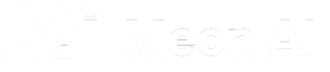 Avada SEO